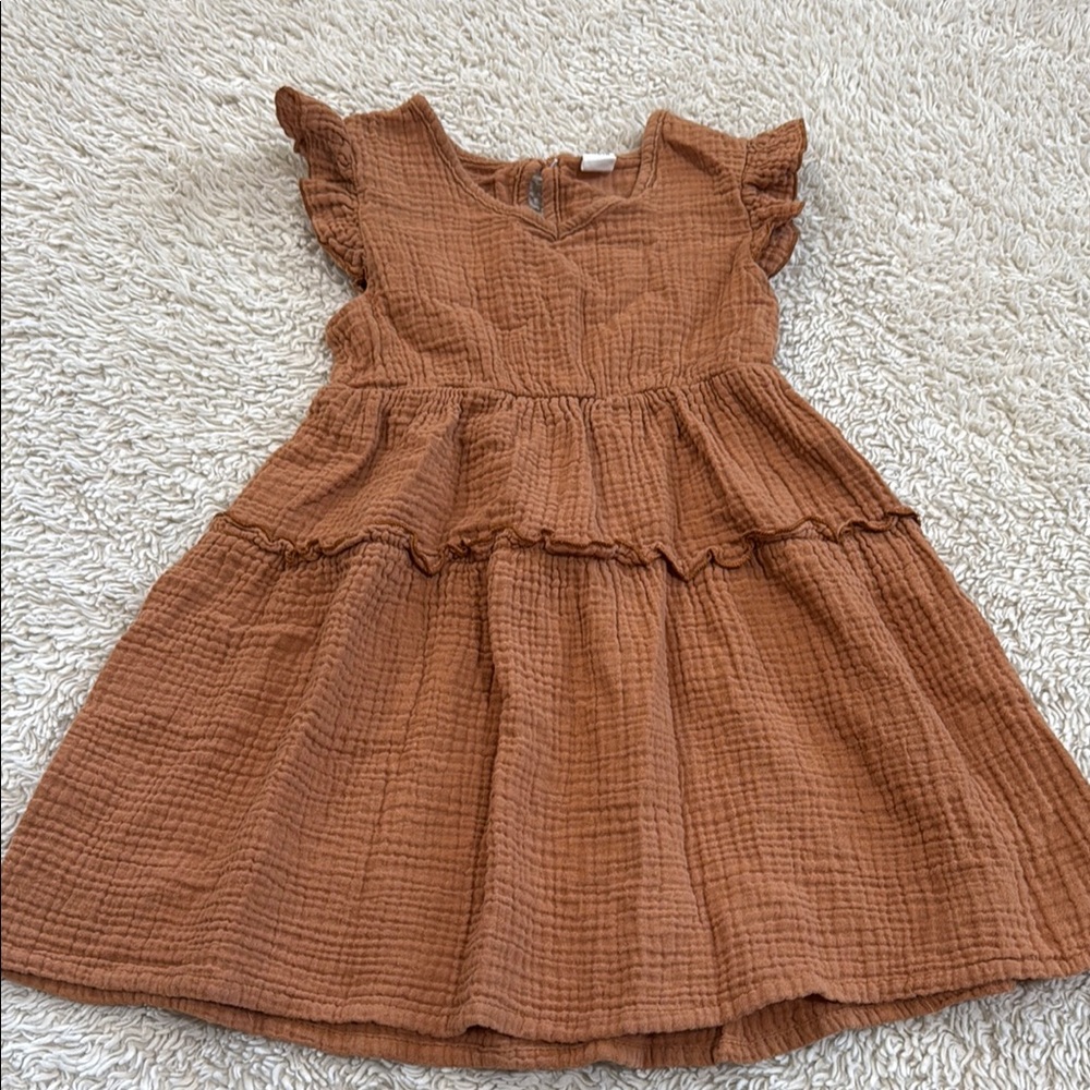 Charming Brown Kids Dress